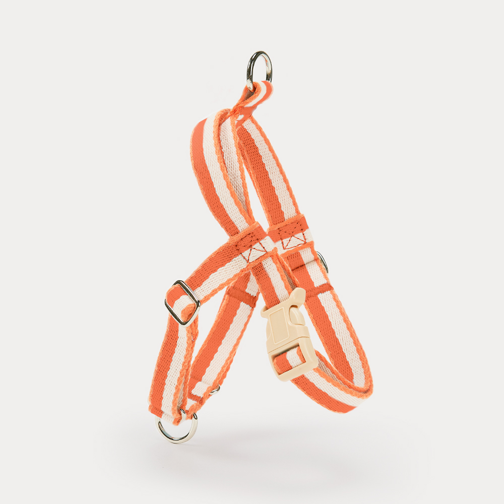 티어라움 강아지 마이데일리 하네스 L형 리드줄 앞고리 앞섬방지 소형견 반려견 초소형 산책 베이비뷰 xs