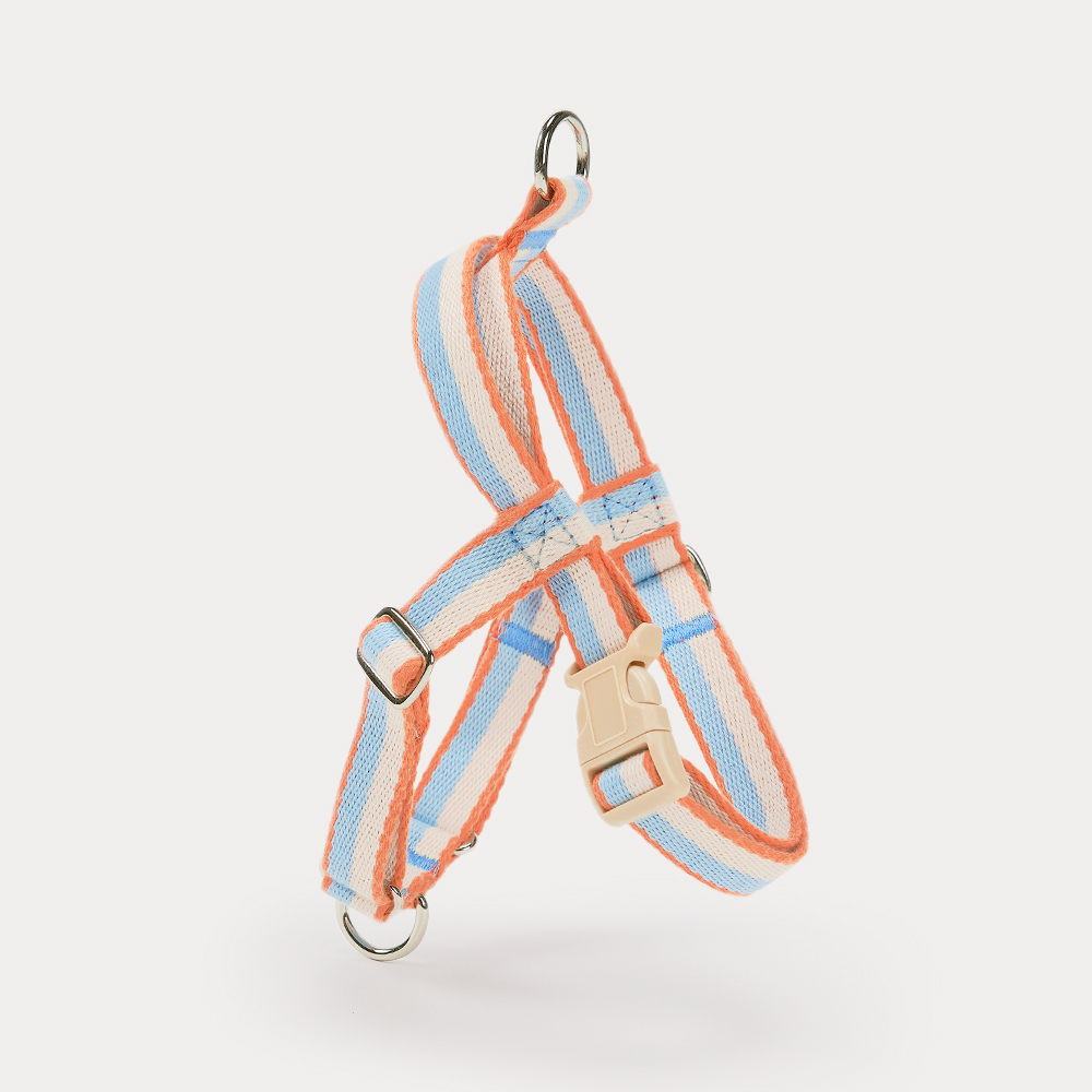 티어라움 강아지 마이데일리 하네스 L형 리드줄 앞고리 앞섬방지 소형견 반려견 초소형 산책 베이비뷰 xs