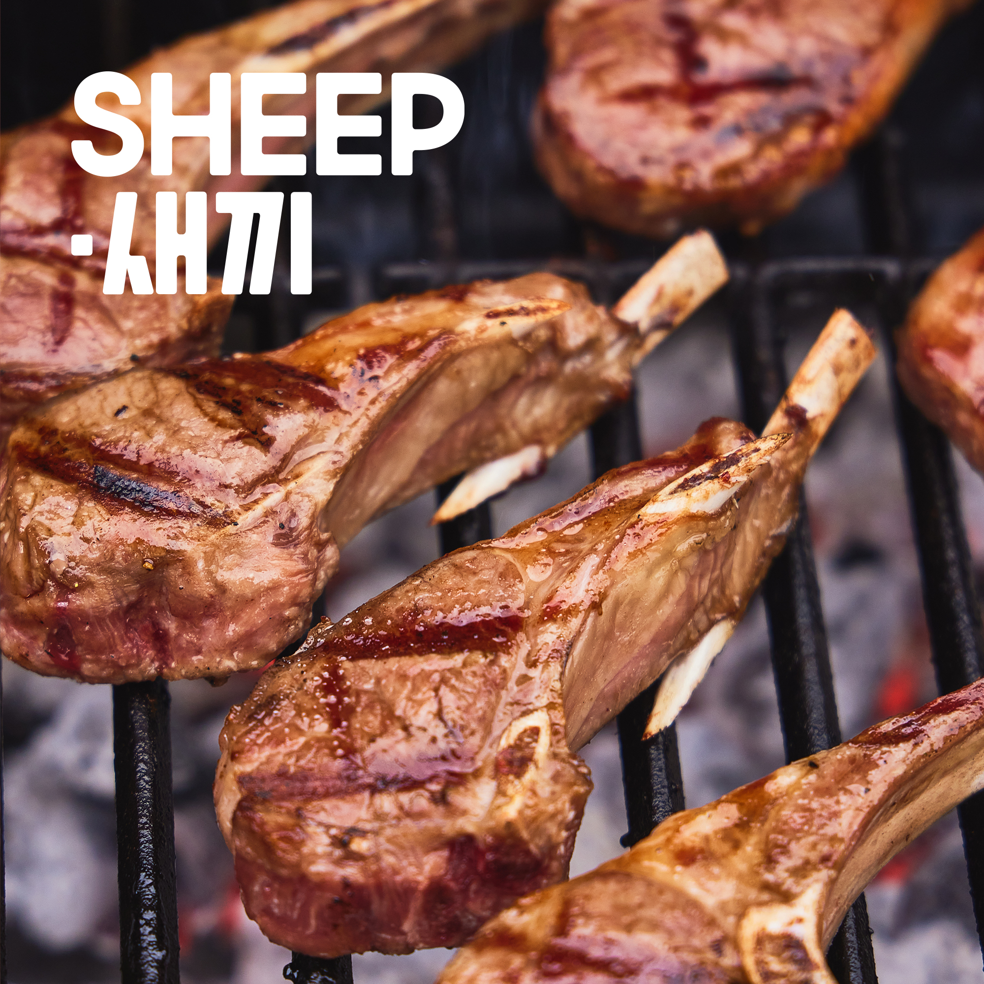 SHEEP새끼 양갈비 모음전 - 프렌치랙, 숄더랙, 큐브양꼬치, 캠핑 파티음식 양고기 스테이크 쉽새끼