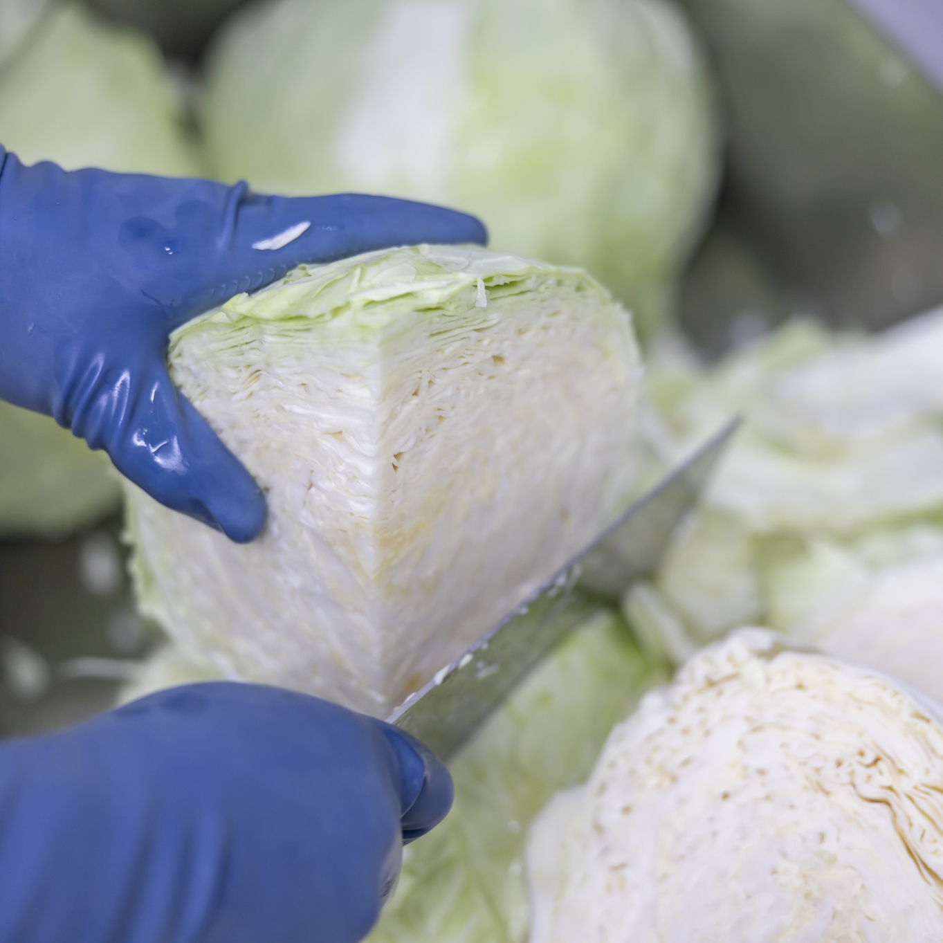 [원물영상공개]국산 양배추즙 30포 과채주스 착즙 - 상세 이미지 2