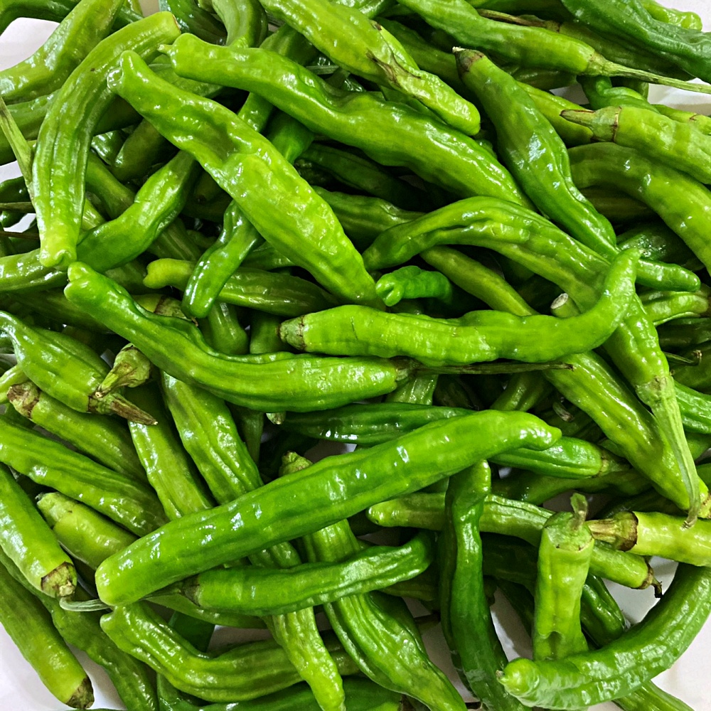 꽈리고추 500g 1kg 2kg 3kg 4kg 국내산 이미지 7