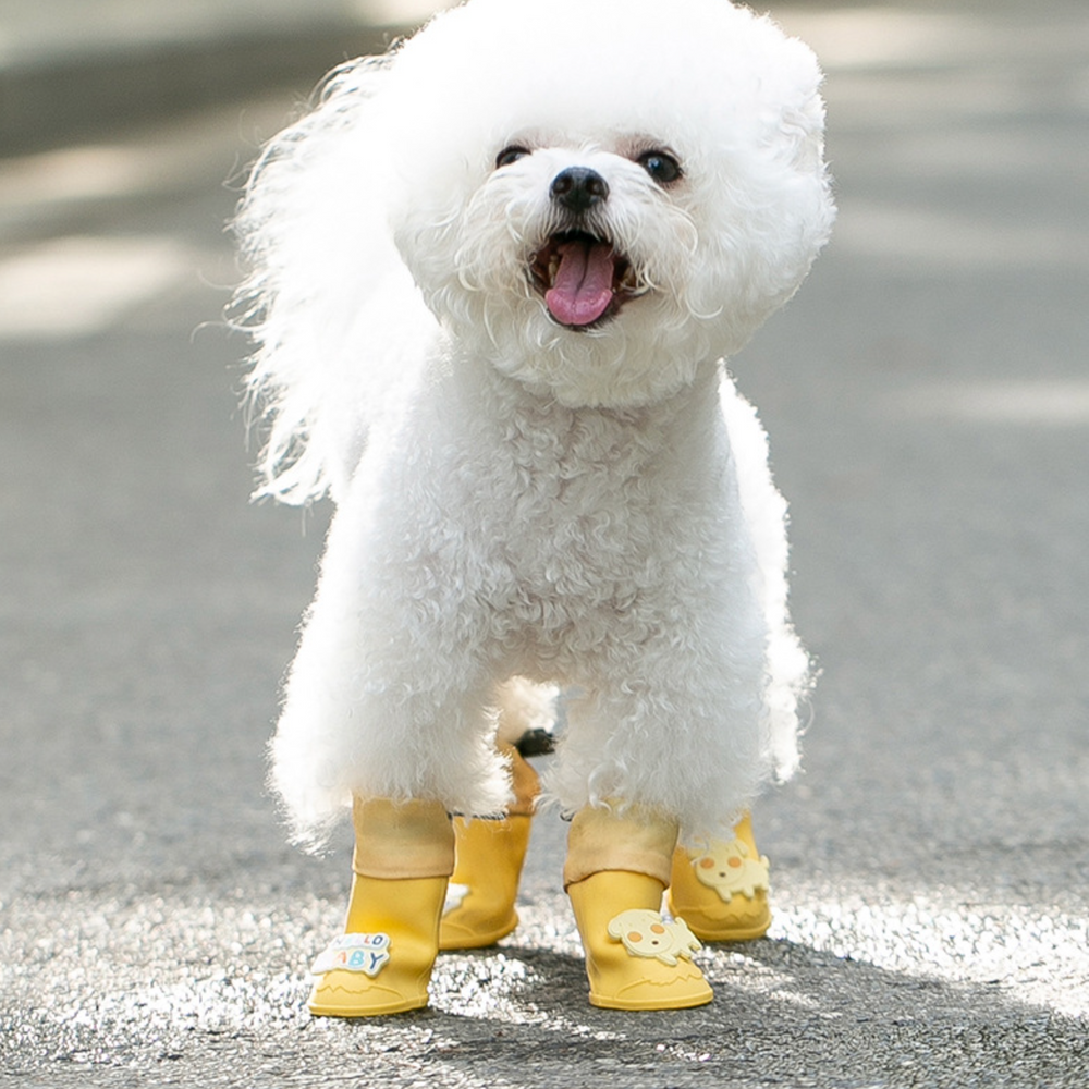 퍼플펫 강아지 신발 부츠 장화 레인부츠 애견 별슈즈