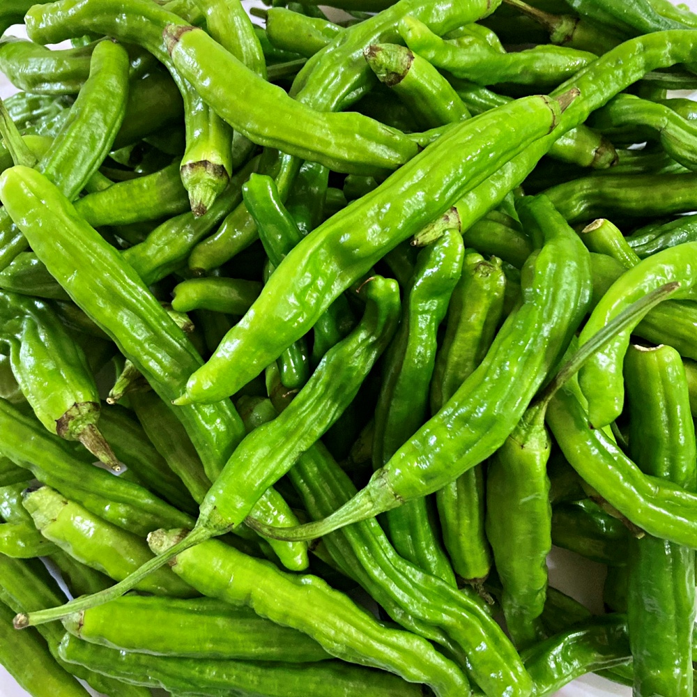 꽈리고추 500g 1kg 2kg 3kg 4kg 국내산 이미지 6