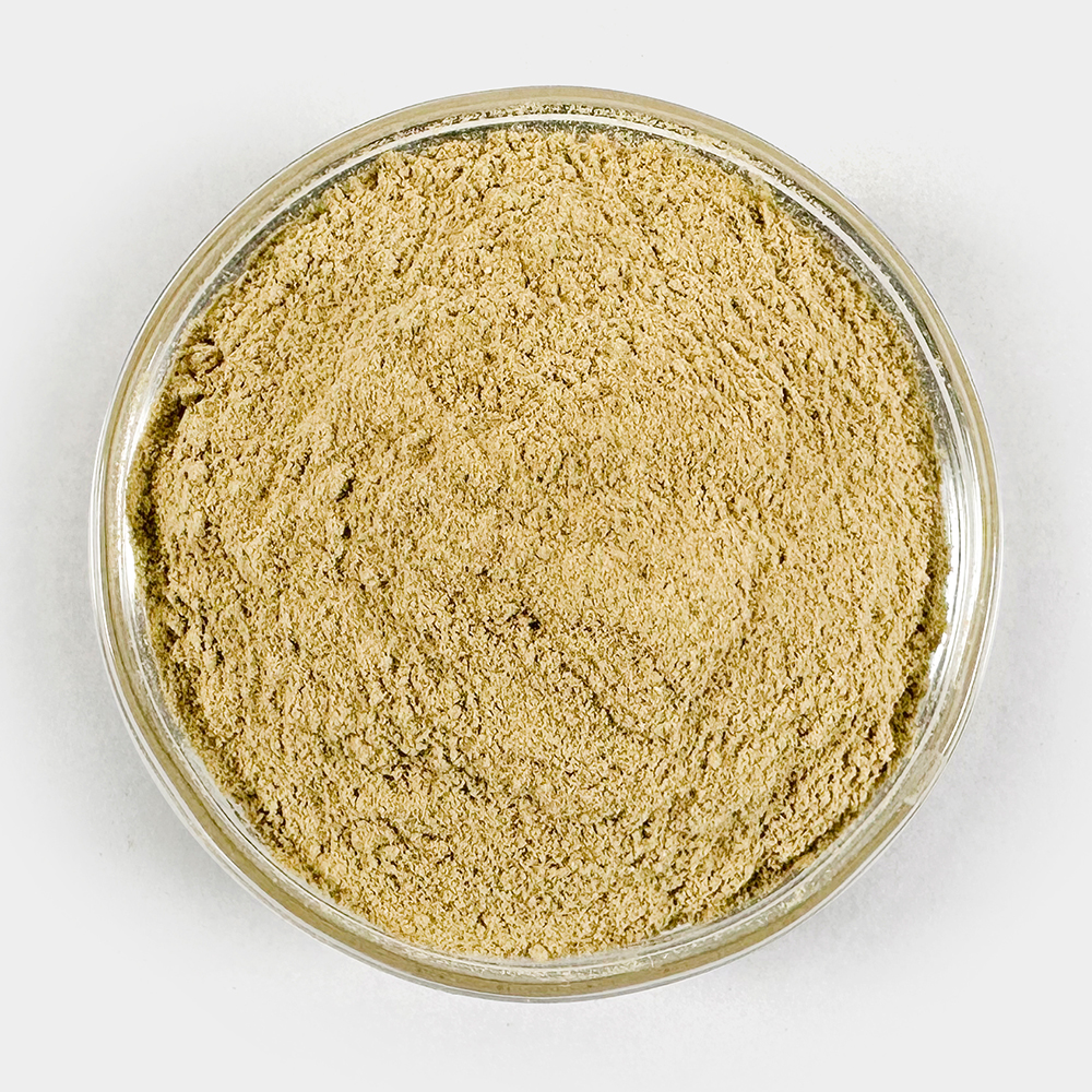 수입 여주분말 여주가루 500g - 상세 이미지 3
