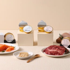 애니먼 애니캔 강아지 고양이 습식캔 소+연어, 30g, 12개 솔직 후기 | 실제 사용자 리뷰 총정리 - 상품 이미지 2