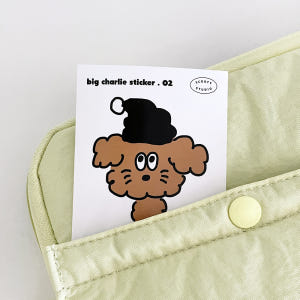 빅 찰리 스티커 02 / 리무버블 실사용 후기 | 효과 있을까? - 상품 이미지 2