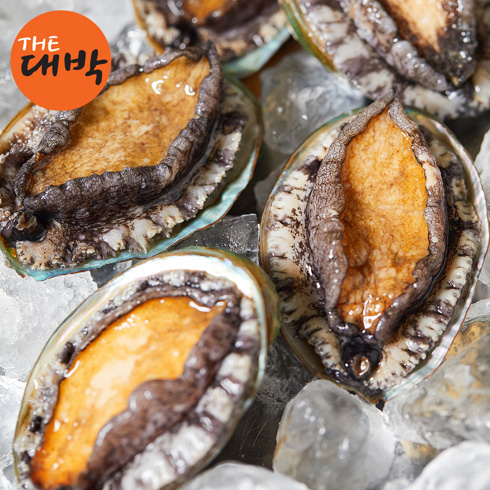 완도 활 전복 보양식 선물세트 복날