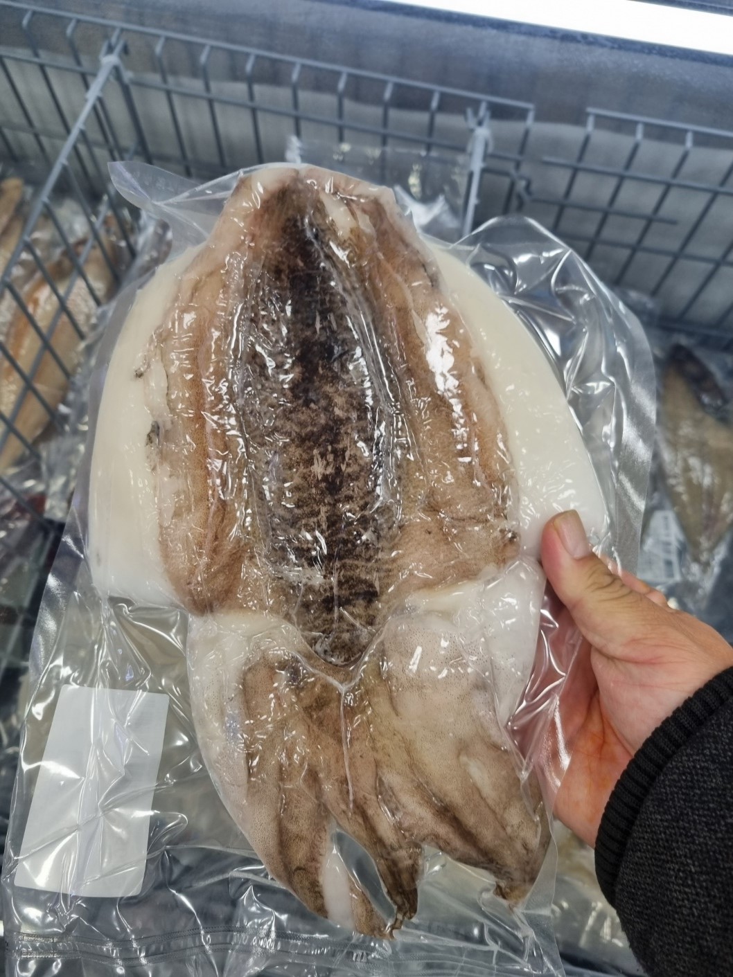 국내산 손질 자연산 활 생물 갑오징어 손질해서 1마리 진공포장 - 상세 이미지 4