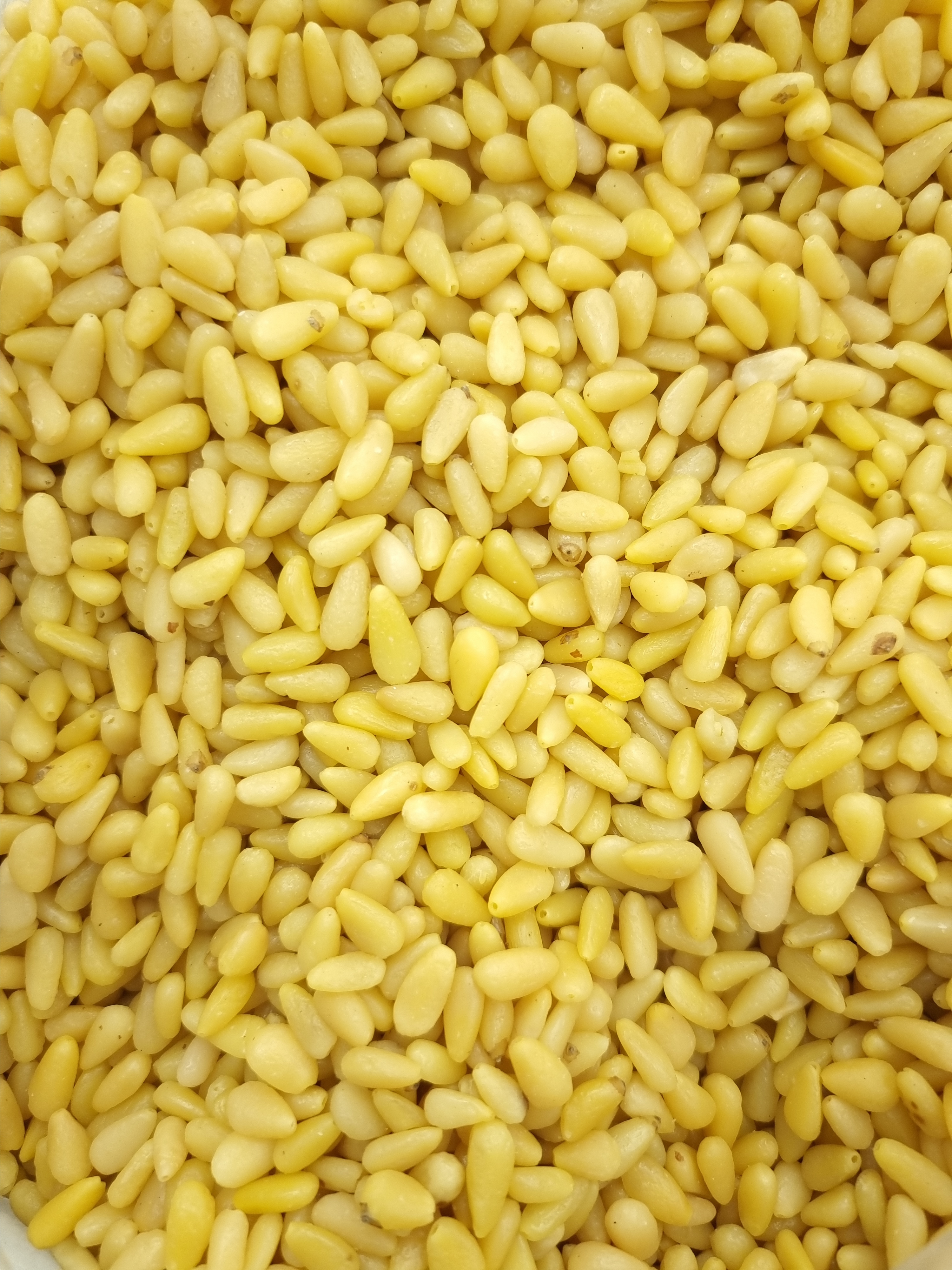 D클라쓰 백잣 생잣 수입잣 500g, 1개 - 상세 이미지 5