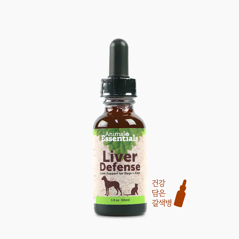 애니멀에센셜 간팅크 강아지 간영양제 항산화제 밀크씨슬 눈물자국 간수치 영양제 액상 - 상세 이미지 3