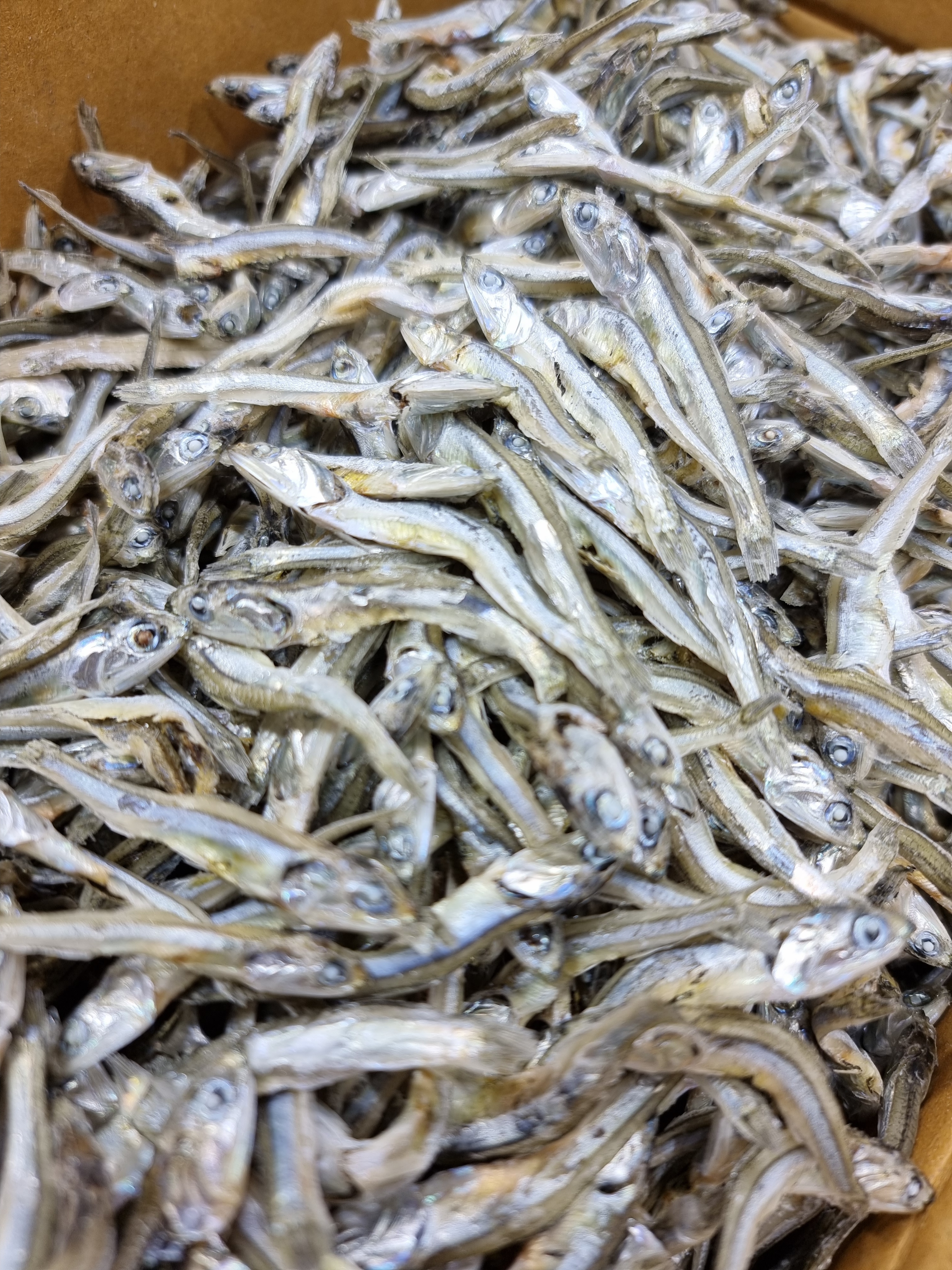 (엄마멸치) 국산 남해안 고추장 고바멸치 중멸치 (진공포장추가옵션) 1.5kg, 1개 - 상세 이미지 5