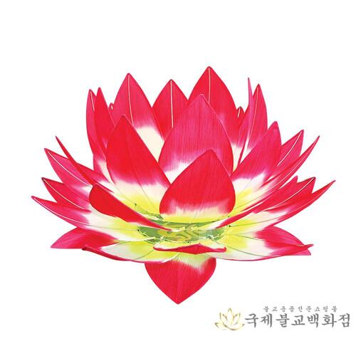 연화연등 大등 : 불교365