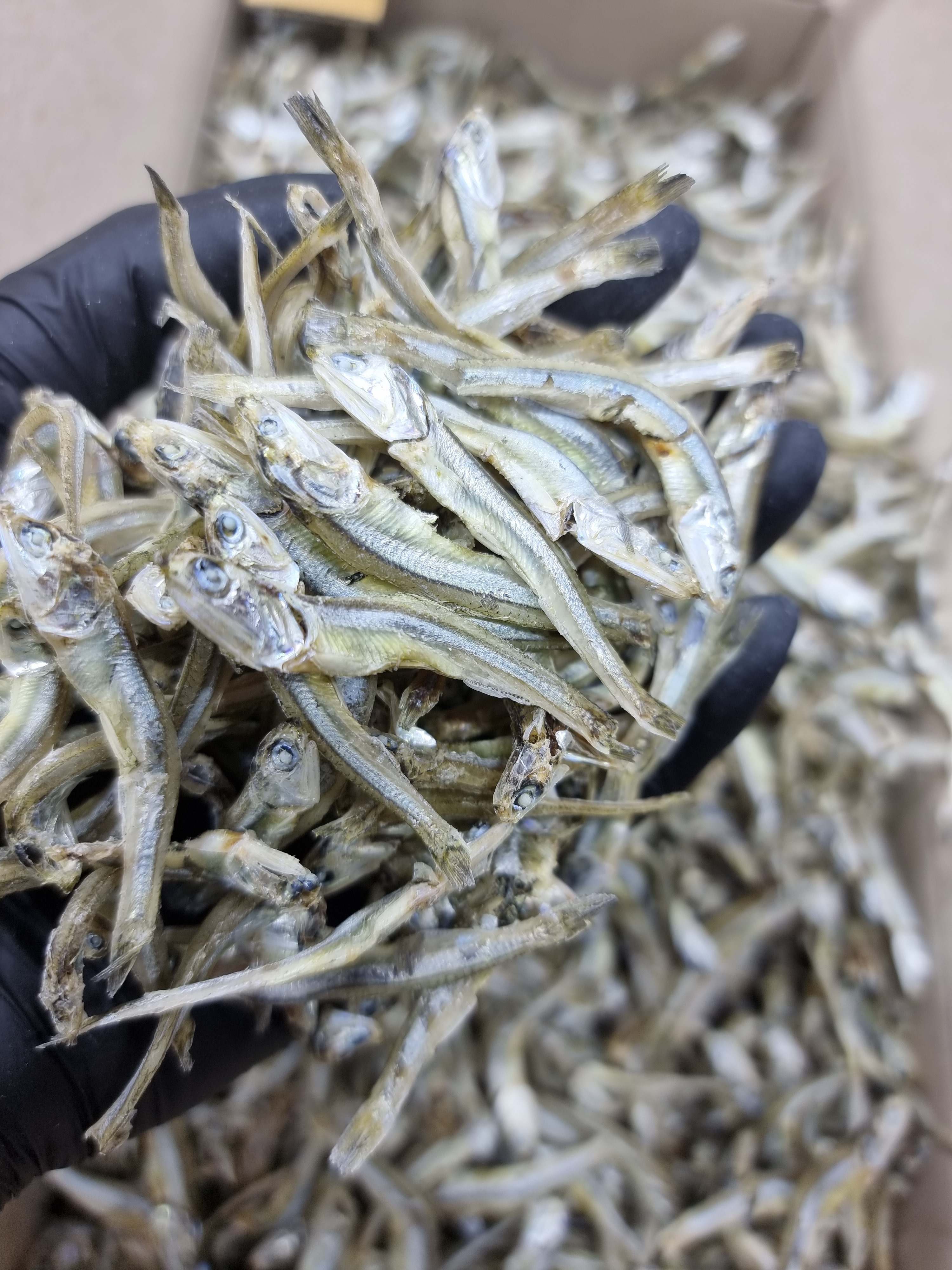 (엄마멸치) 국산 남해안 고추장 찍어먹는 고바멸치 (중멸) 150g, 1개 - 상세 이미지 3