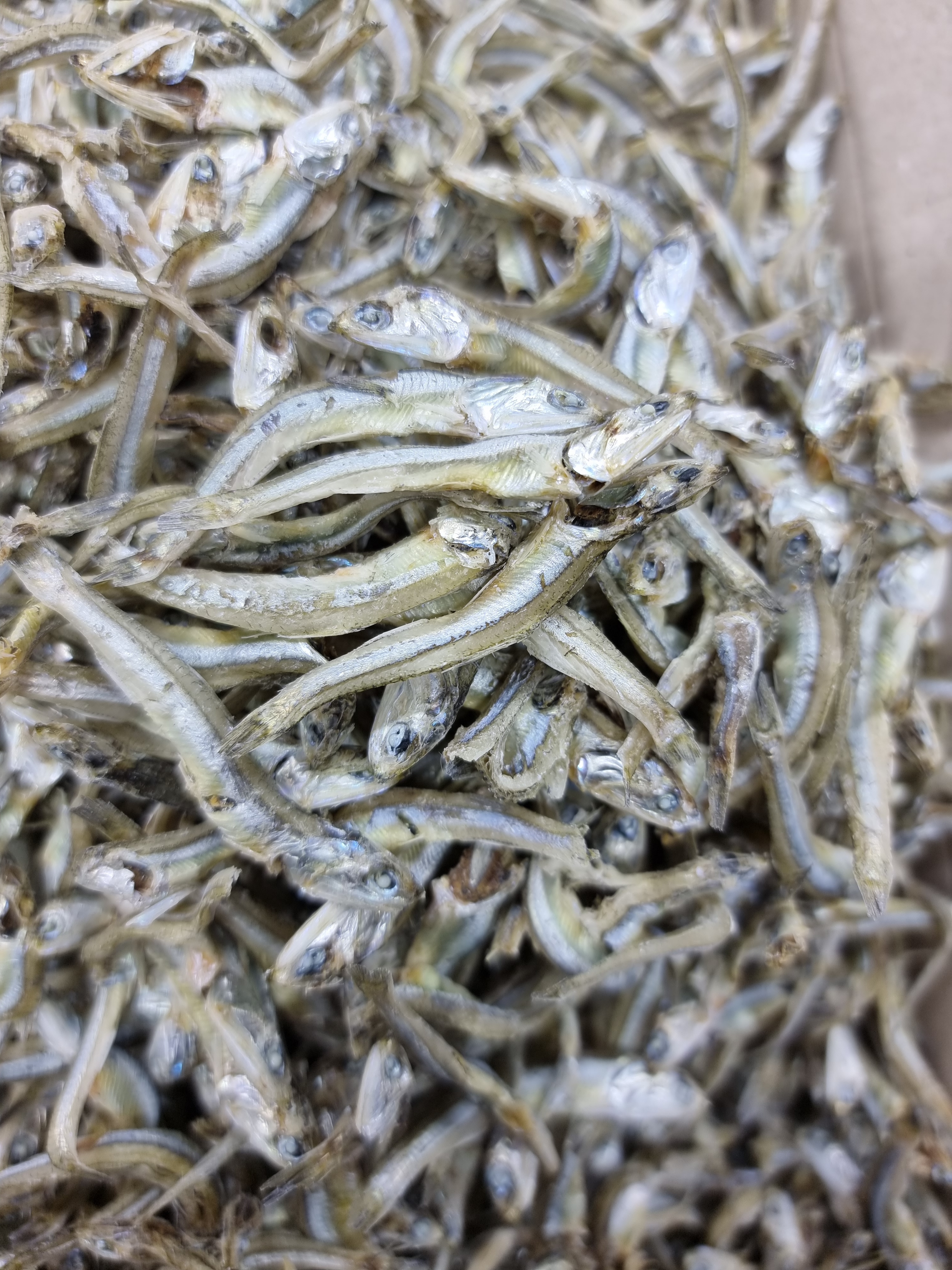 (엄마멸치) 국산 남해안 고추장 고바멸치 중멸치 (진공포장추가옵션) 1.5kg, 1개 - 상세 이미지 2