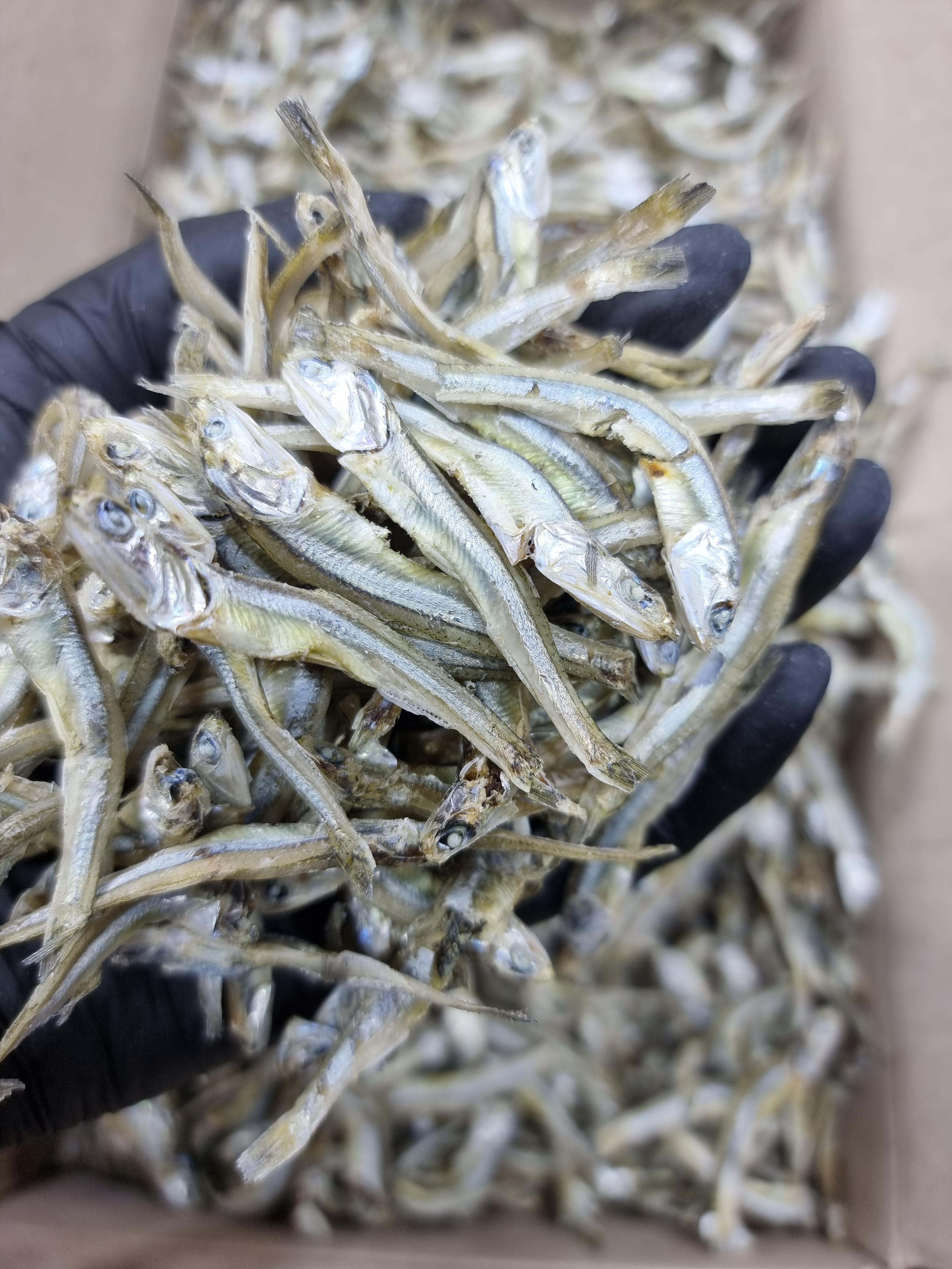 (엄마멸치) 국산 남해안 고추장 고바멸치 중멸치 (진공포장추가옵션) 1.5kg, 1개 - 상세 이미지 4