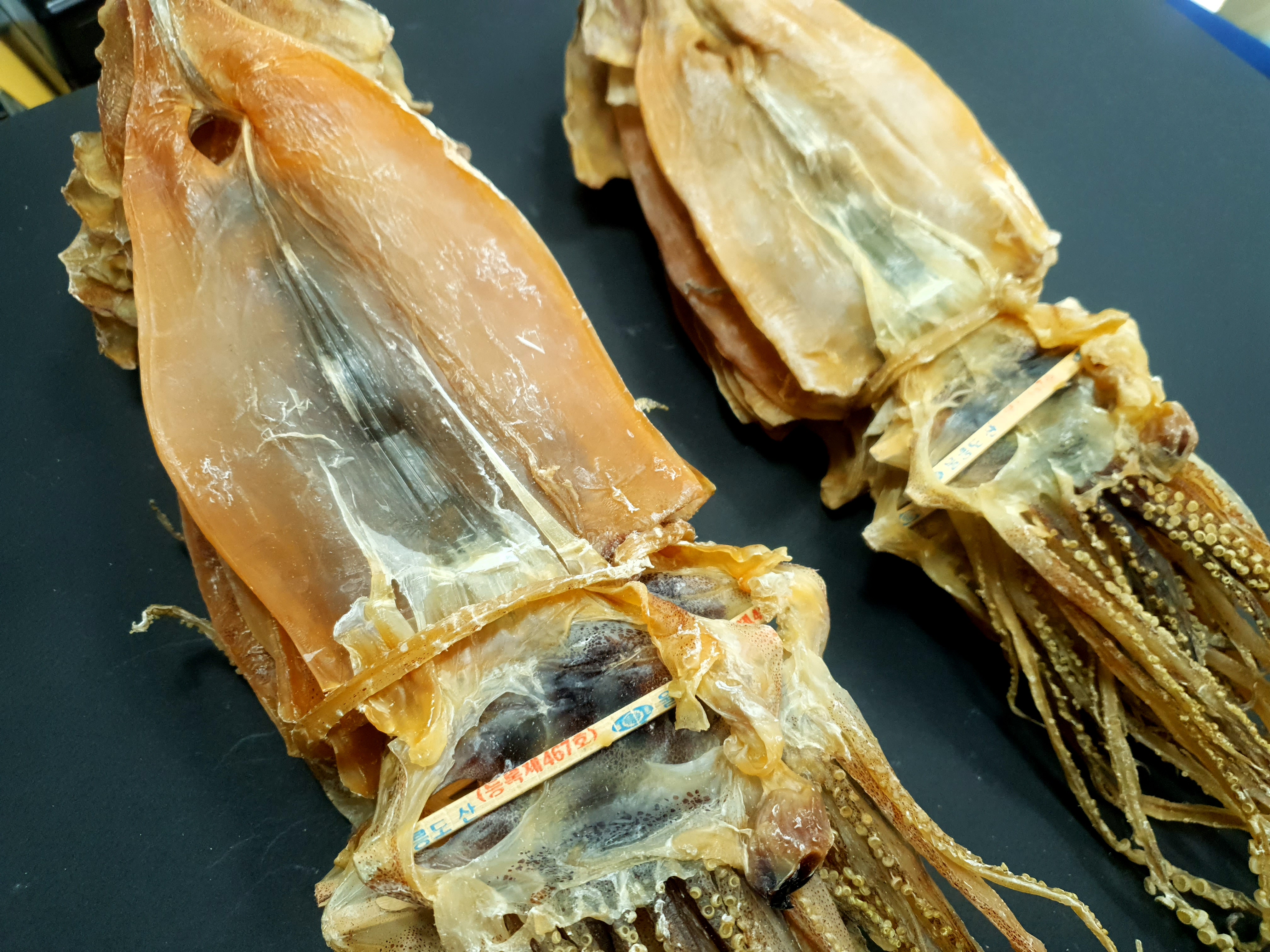 울릉도 강원도 구룡포 당일바리 마른오징어 쫄쫄이초콜릿오징어 (5/10/20마리) 진공포장 - 상세 이미지 4