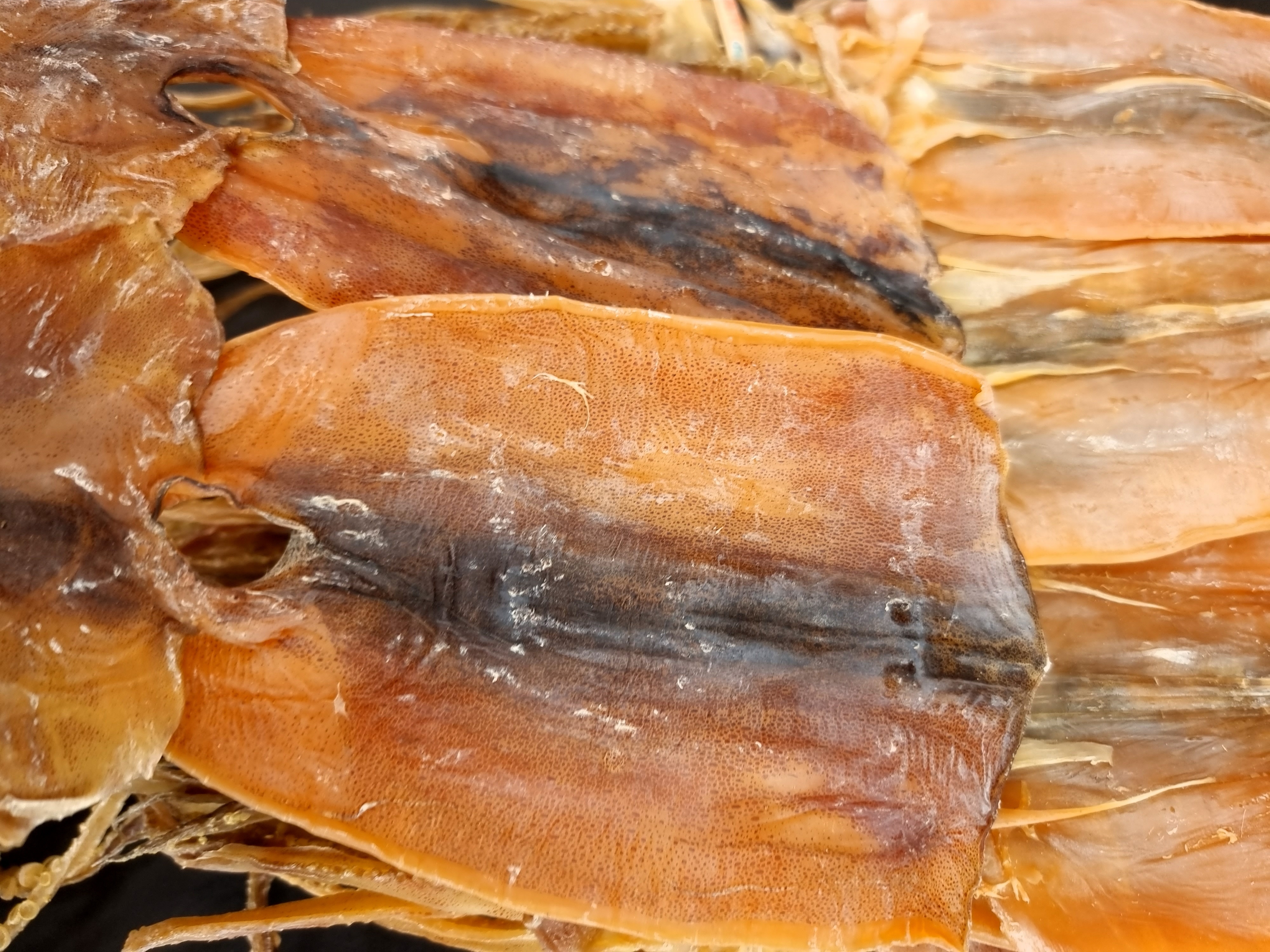 울릉도 강원도 구룡포 당일바리 마른오징어 쫄쫄이초콜릿오징어 (5/10/20마리) 진공포장 이미지 8