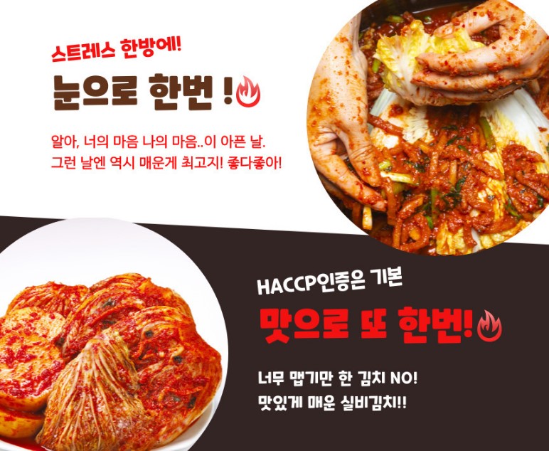 실비김치 매운 김치 주문 생김치 배추 포기 2kg - 상세 이미지 3