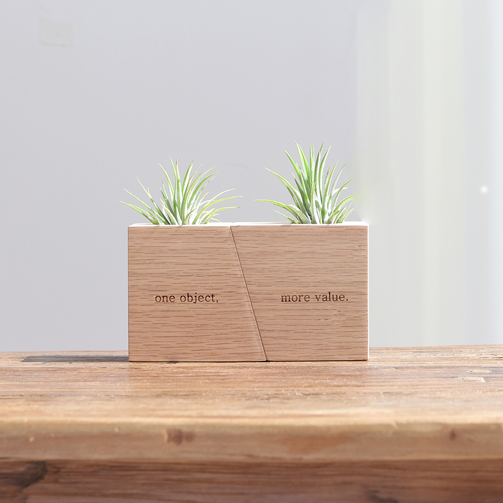 원목 각인 실내공기정화식물 틸란드시아 이오난사 화분 A타입