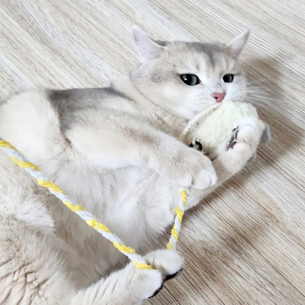 더캣 쥬크루 리얼사운드 너구리 낚시대 인형 이미지 8