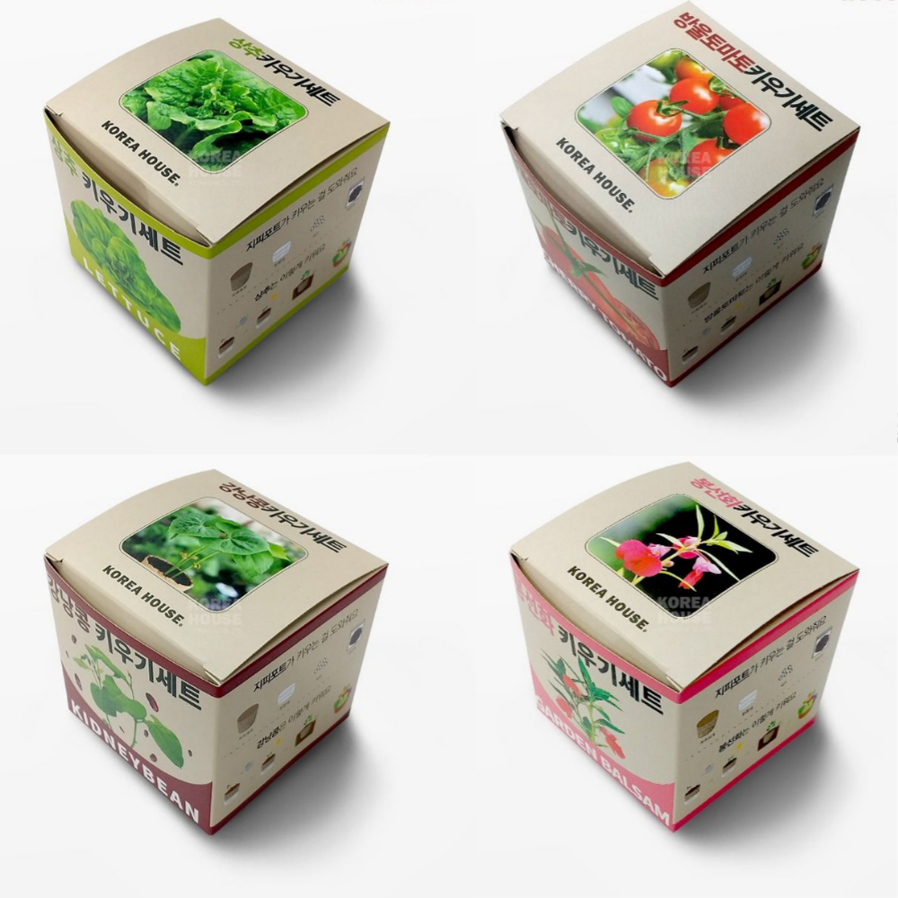 집에서 식물 키우기 세트 상추 방울토마토 홈가드닝 지피포트 키트 채소 기르기