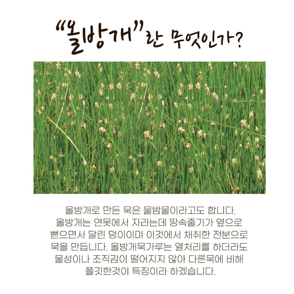 간편식 전분 올방개묵가루 1kg 물밤물 식사대용 부침가루 - 상세 이미지 2