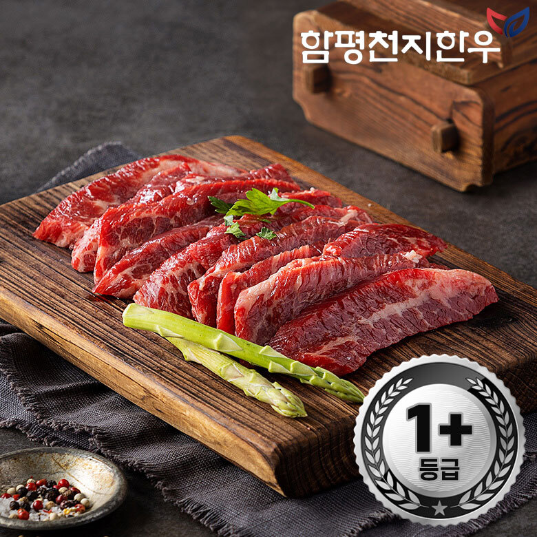 [함평축협] 함평천지한우 치마살 600g(1+등급) : 푸른들 마켓