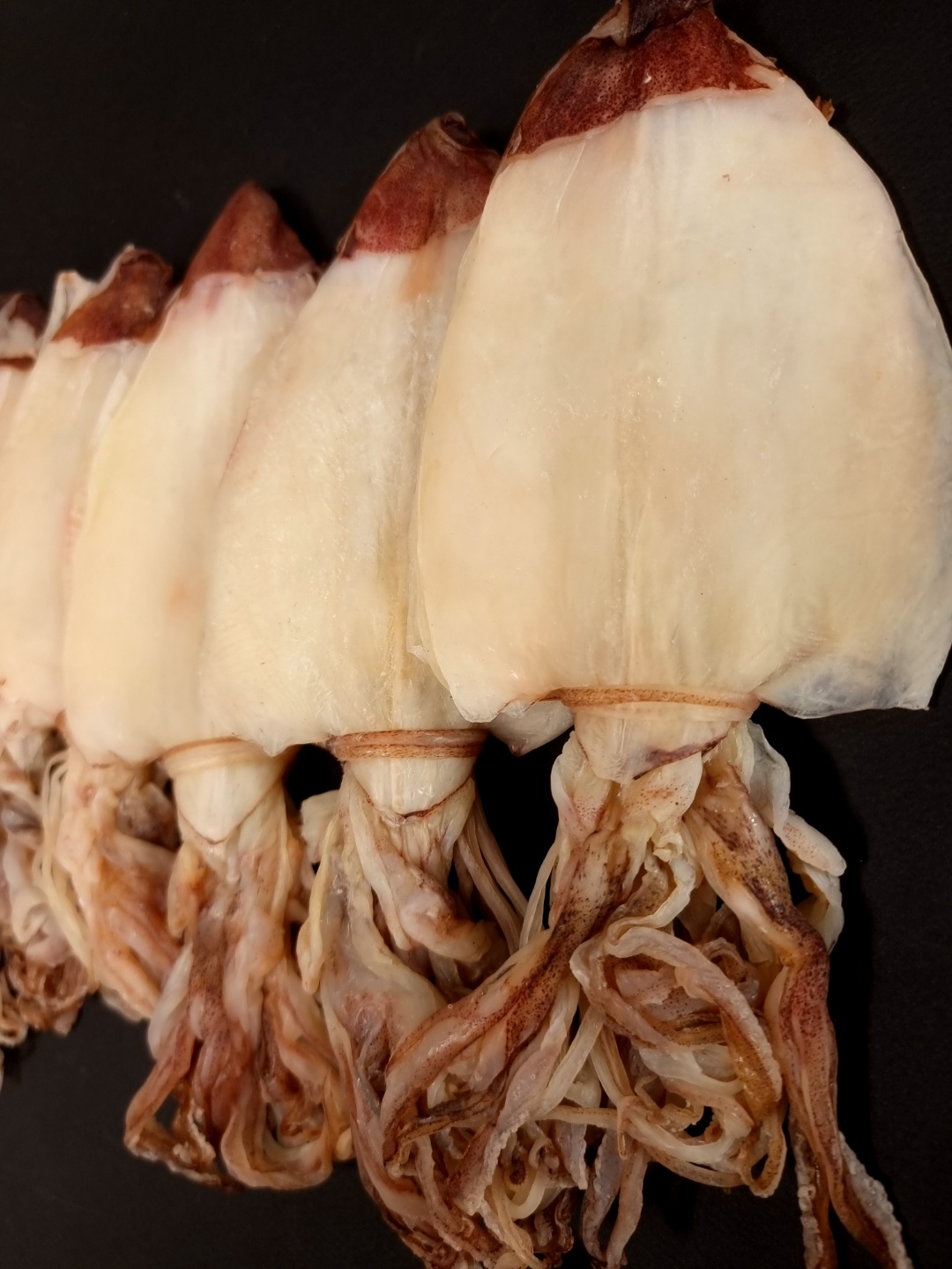 (주)마름 AAA등급 특 반건조 한치 (10미 - 20미) 500g 마른안주 - 상세 이미지 5