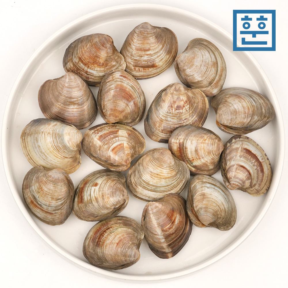 훈훈수산 백합 백상합 조개 백생합 제철 탕,찜,구이용 - 상세 이미지 4