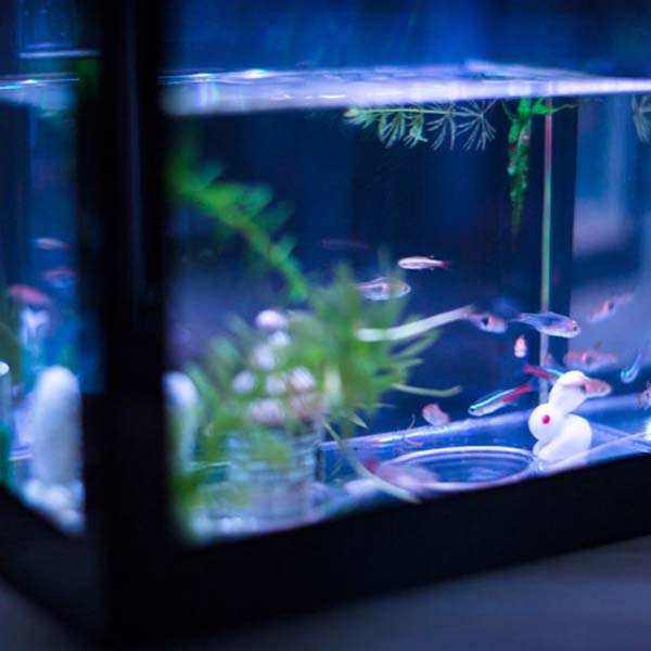 LED 미니 블럭 어항 조명 수족관 등 불빛 소형 컬러 전구 미니등