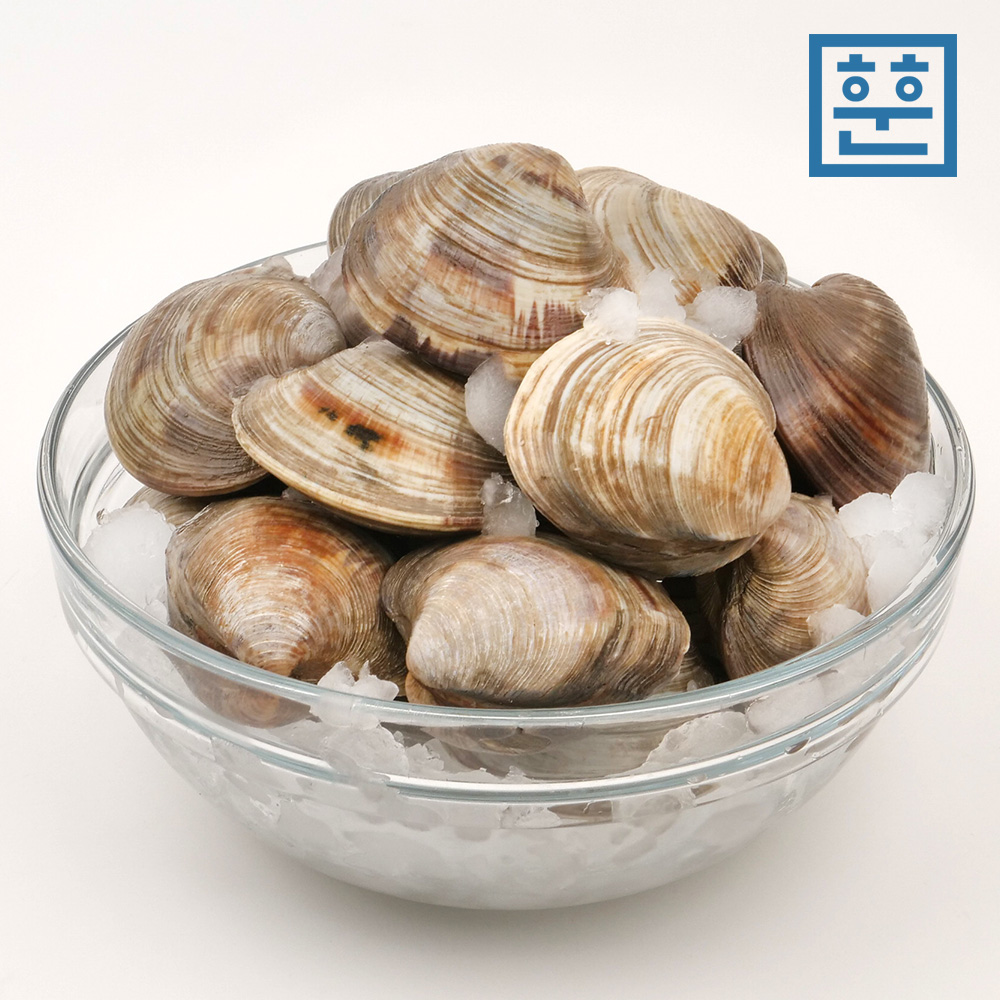 훈훈수산 백합 백상합 조개 백생합 제철 탕,찜,구이용 이미지 8