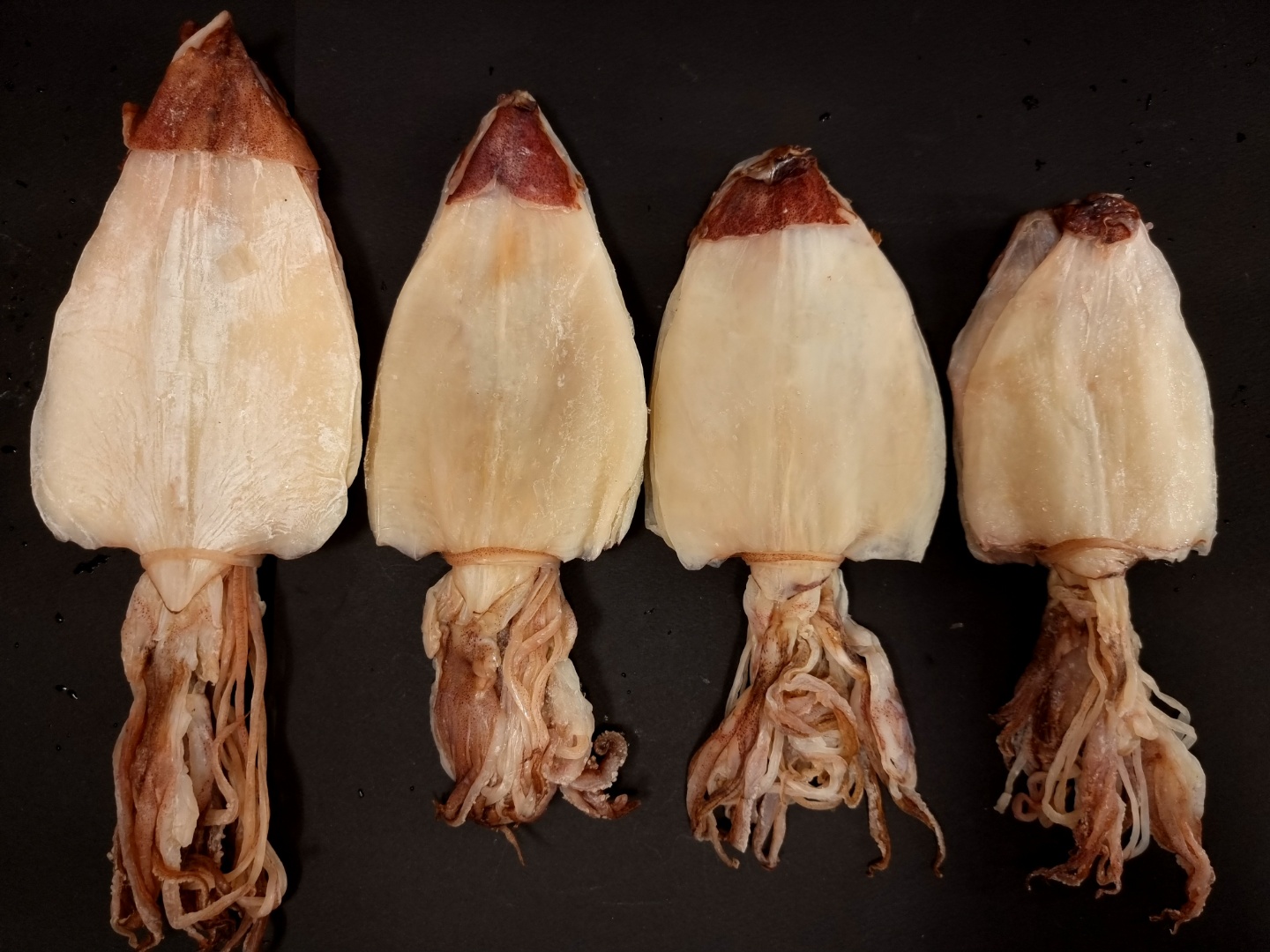 (주)마름 AAA등급 특 반건조 한치 (10미 - 20미) 500g 마른안주 - 상세 이미지 2