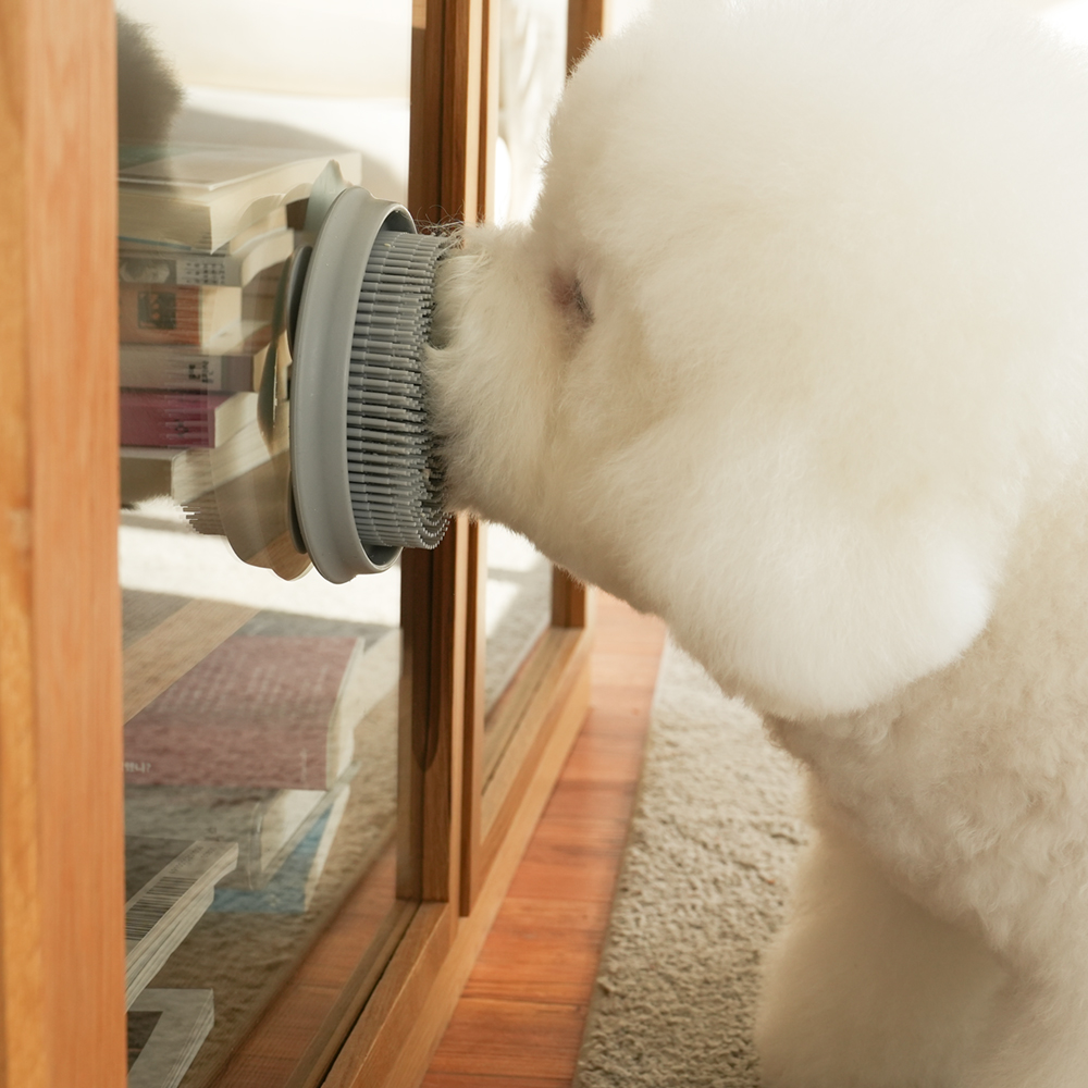 더플래 강아지 고양이 셀프 이빨닦기 입냄새제거 실리콘 스케일링 칫솔 덴탈케어 브러쉬