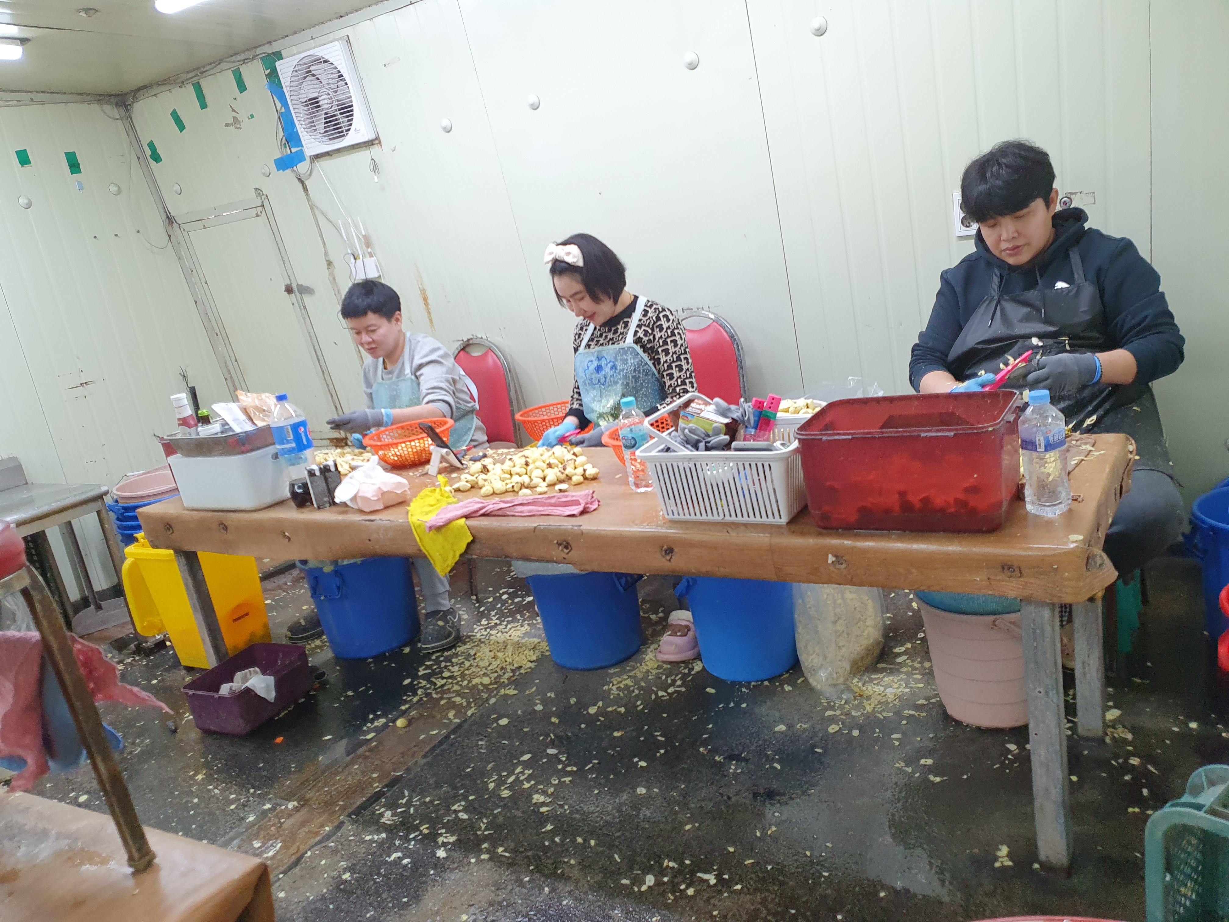 노루골부여밤 깐밤 비품1kg 영양밥용(파지) - 상세 이미지 3