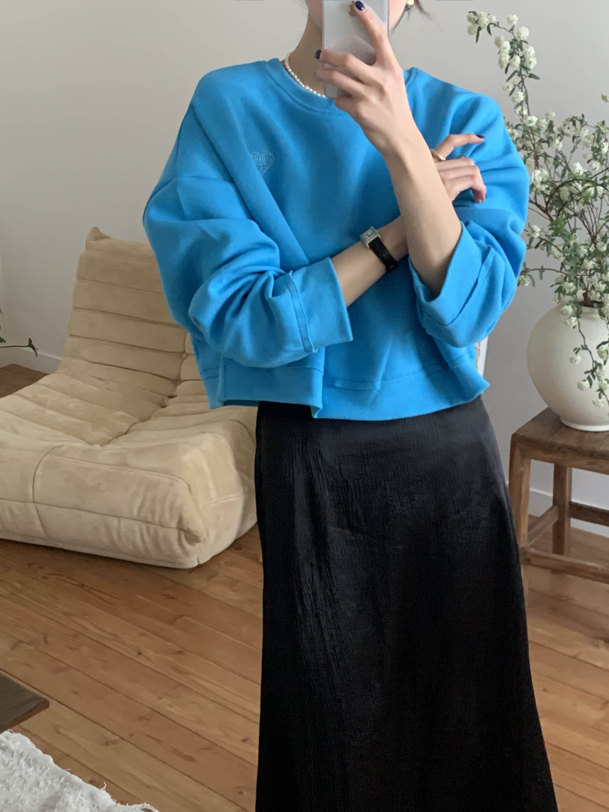 다이노 루즈핏 가을 간절기 라운드넥 긴팔 여자 세미 크롭 맨투맨 티셔츠 상세 이미지 17