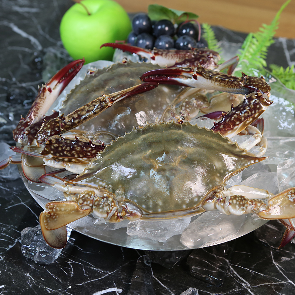 연평도 제철 꽃게 1kg 산지직송 활 급냉 숫꽃게 절단 몽당 - 상세 이미지 3