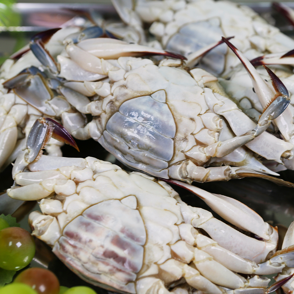 연평도 제철 꽃게 1kg 산지직송 활 급냉 숫꽃게 절단 몽당 - 상세 이미지 2