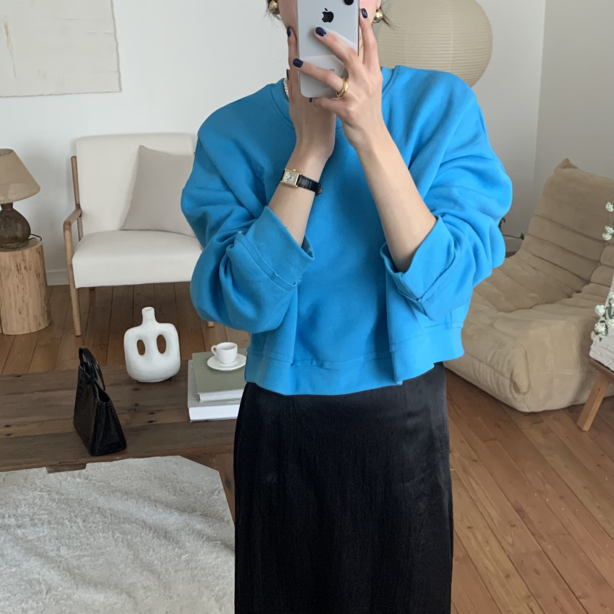 다이노 루즈핏 가을 간절기 라운드넥 긴팔 여자 세미 크롭 맨투맨 티셔츠 상세 이미지 14