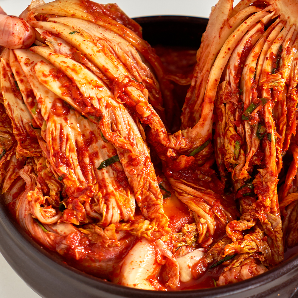 프리미엄 포기김치 고랭지 배추 서울 중부식 김장 김장 가이드 김치 추천