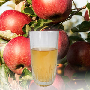 햇살 담은 사과즙 영주 생사과즙 임산부 노슈가 농협 듬뿍 가득 100ml... 맛있게 먹은 솔직 후기 - 상품 이미지 4