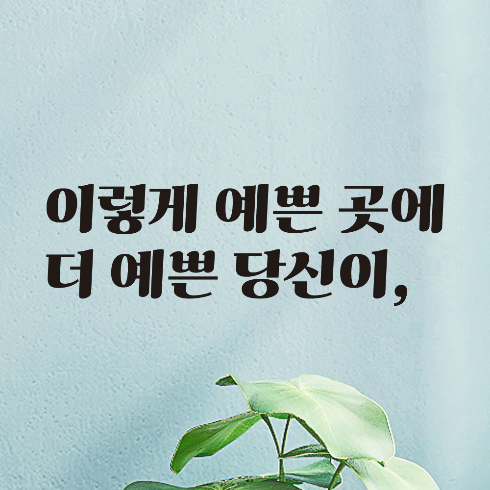 이렇게 예쁜 곳에 레트로 감성 레터링 스티커 LG-047S검정 - 상세 이미지 5