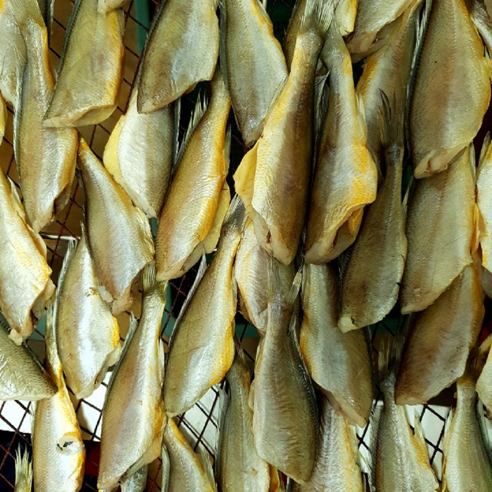 국내산 반건조 참조기 500g 두절 손질 조기 부산 생선대장 이미지 7