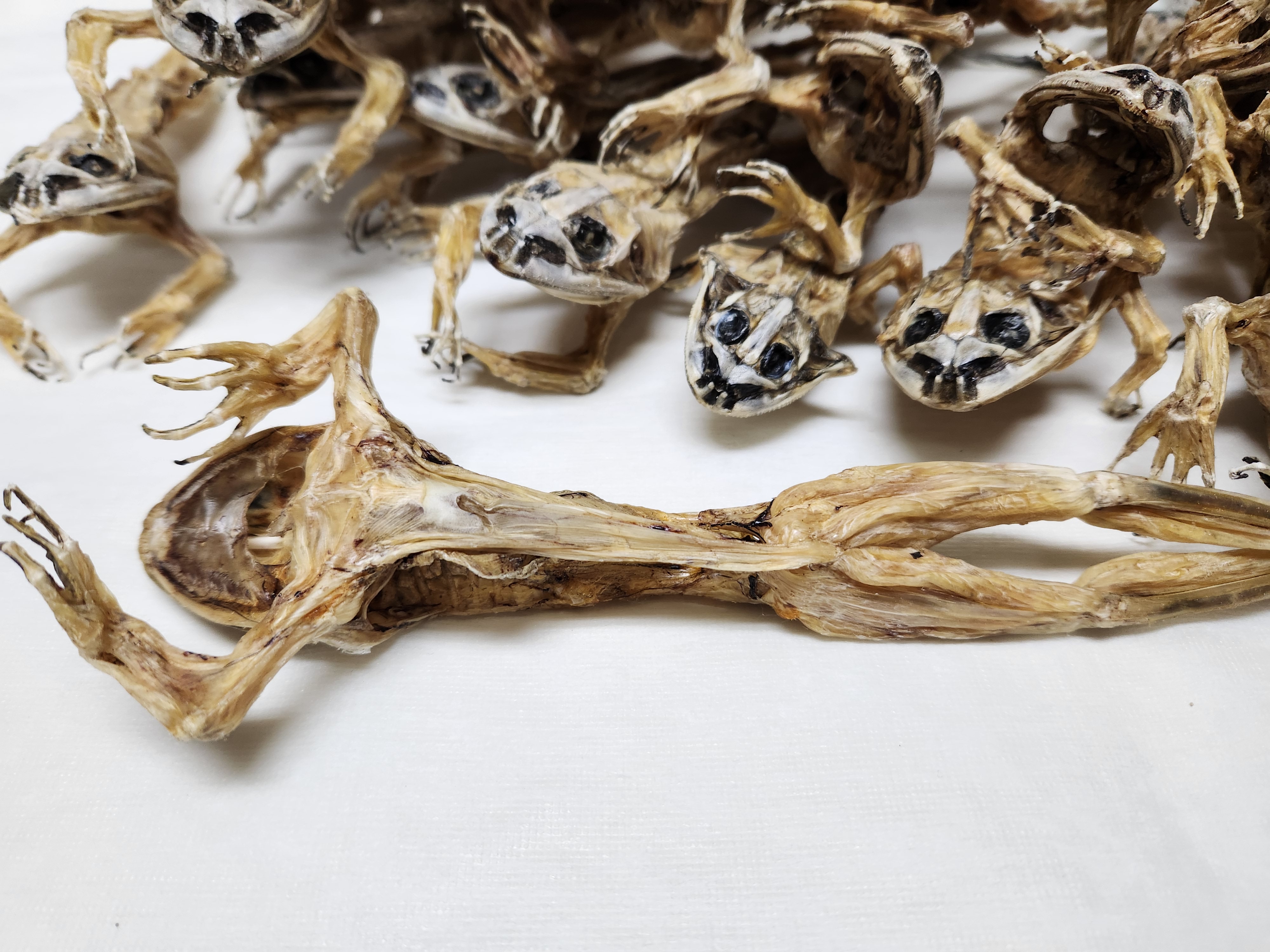 개구리즙 효능 국산 100% 15팩 엑기스 이미지 3