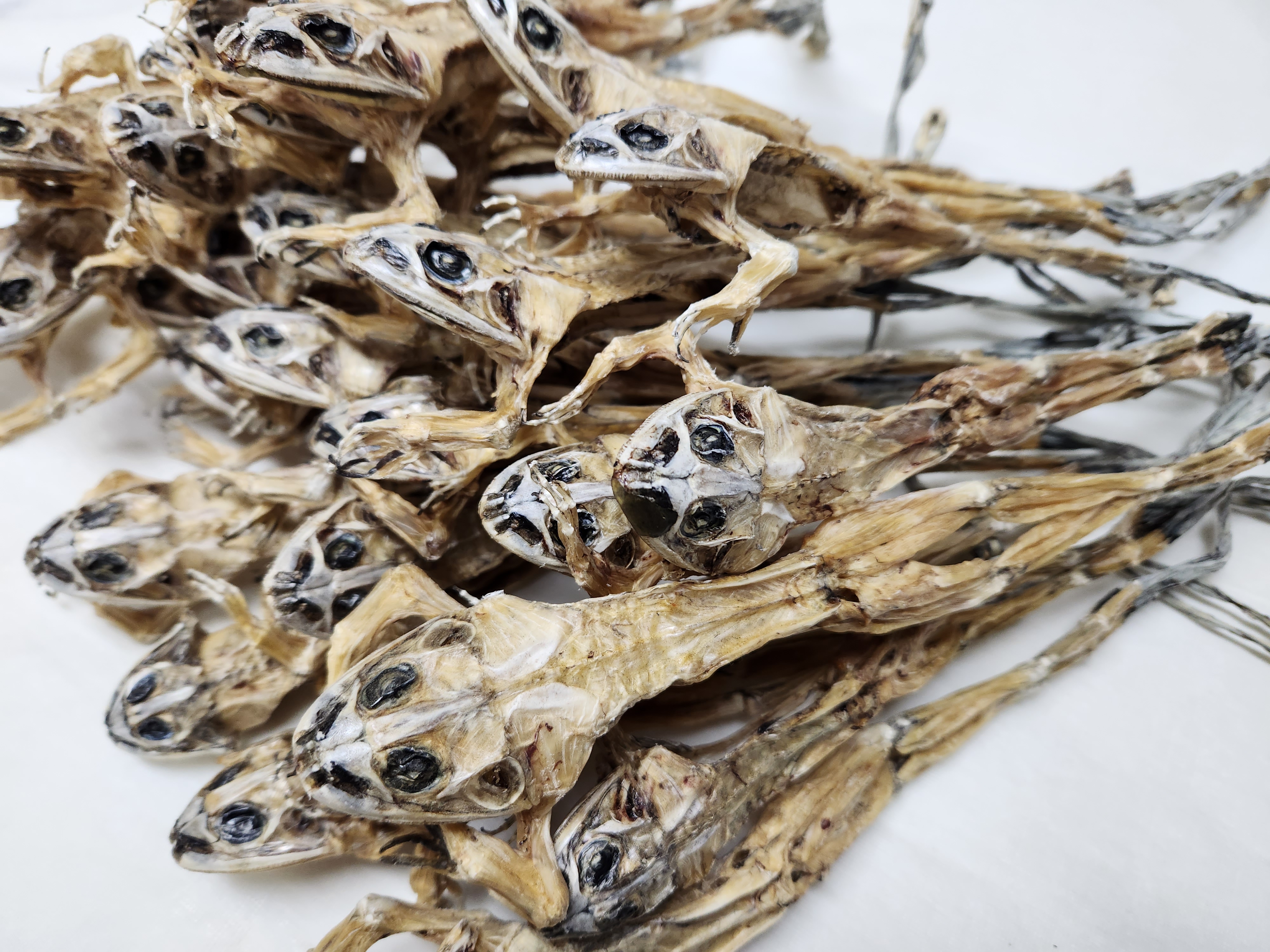 개구리즙 효능 국산 100% 15팩 엑기스 이미지 4