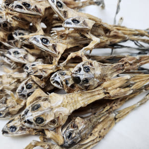 개구리즙 효능 국산 100% 15팩 엑기스 맛있게 먹은 솔직 후기 - 상품 이미지 4