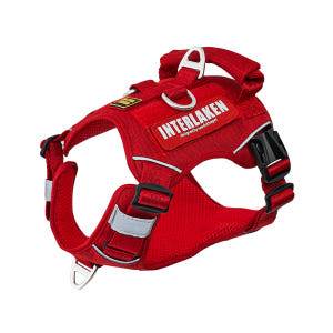 인터라켄 커스텀 강아지 하네스 H형 소형견 앞섬방지 앞고리 가슴줄 XXS 솔직 후기 | 실제 사용자 리뷰 총정리 - 상품 이미지 1