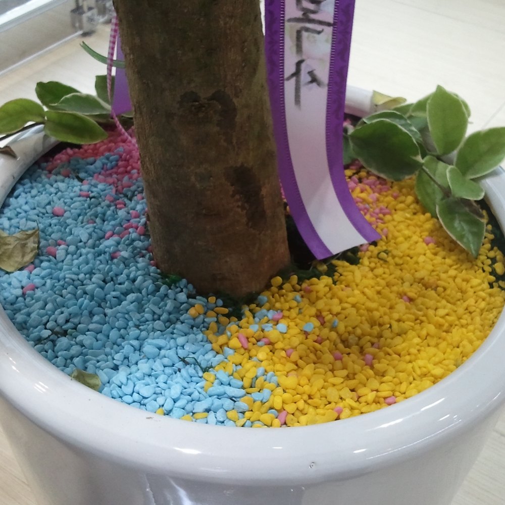 칼라스톤15 kg 대포장(컬러스톤 색자갈)조경용 원예용 제품 이미지