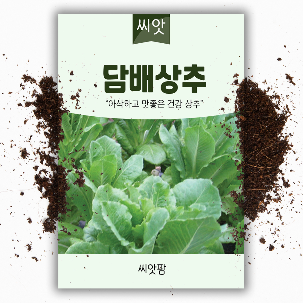 담배 상추씨앗 3g 상추씨 쌈채소 종자 - 상품 이미지