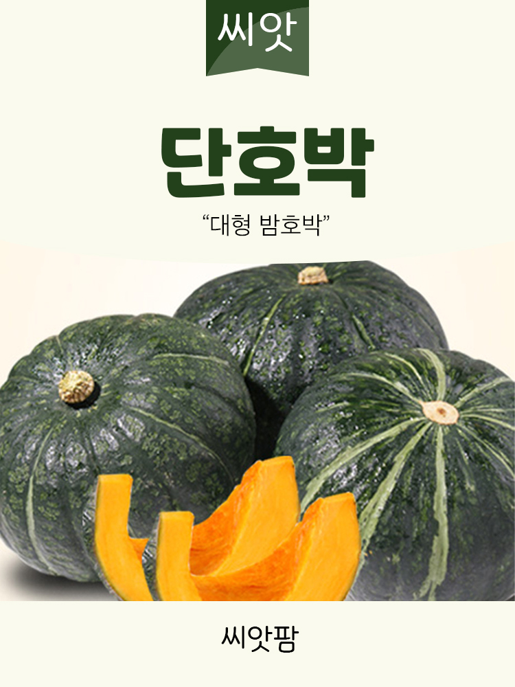 단호박씨앗 10립 대형 밤호박 종자 - 상세 이미지 2