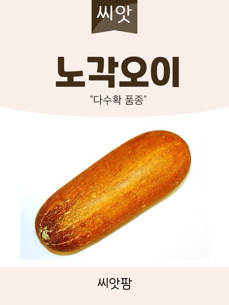 노각 오이씨앗 50립 채소씨앗 채소 종자 - 상세 이미지 2